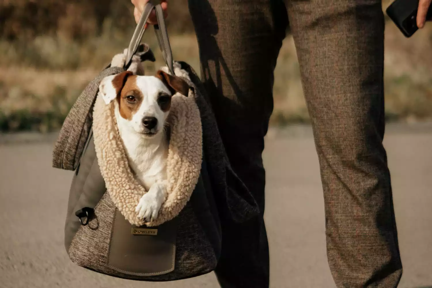 Dog Carrier Purse for Lhasa Apso