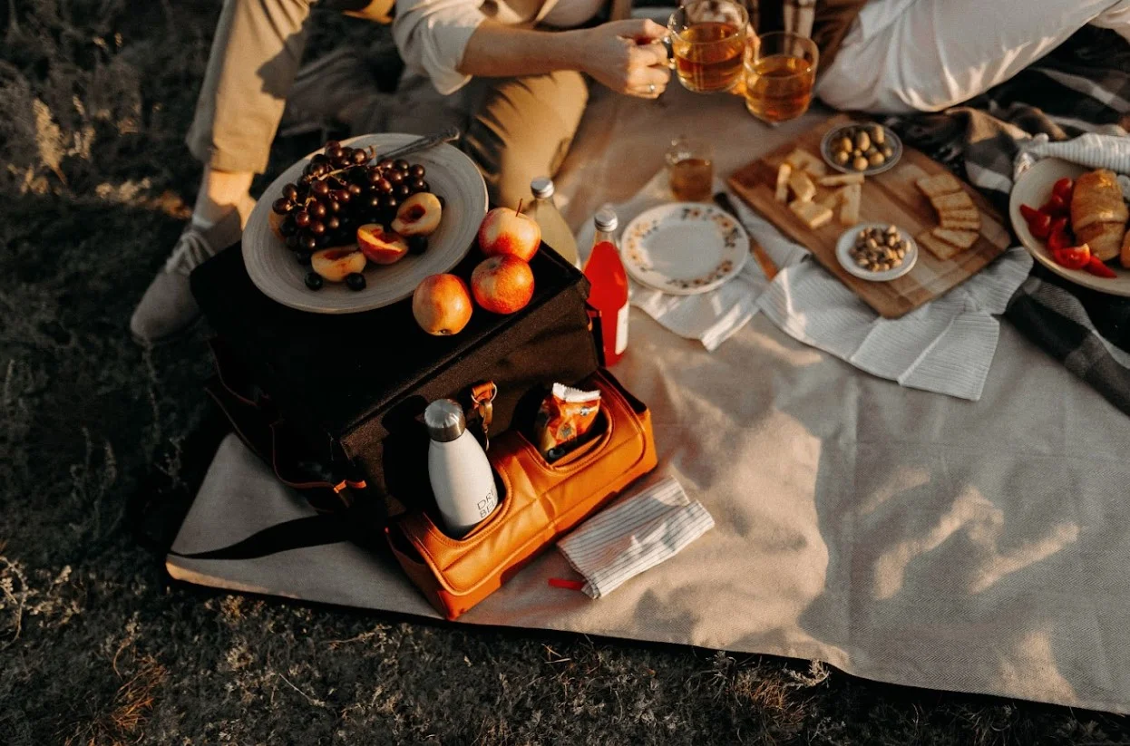 foldable picnic blanket