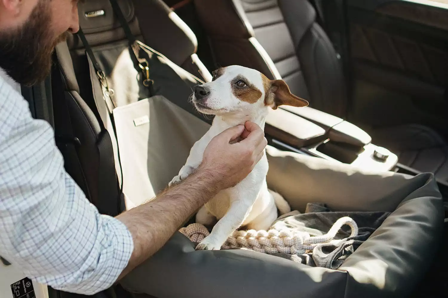 Toyota 4Runner Dog Car Seat for Beagles